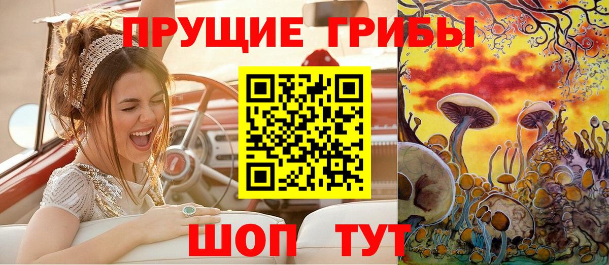 Псилоцибиновые грибы прущие грибы  Вход с VPN  Алатырь  Галлюциногенные грибы Psilocybe 