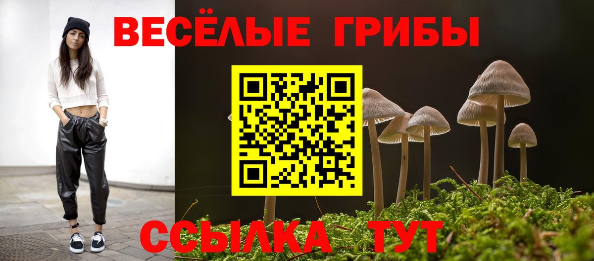 Галлюциногенные грибы MAGIC MUSHROOMS Алатырь